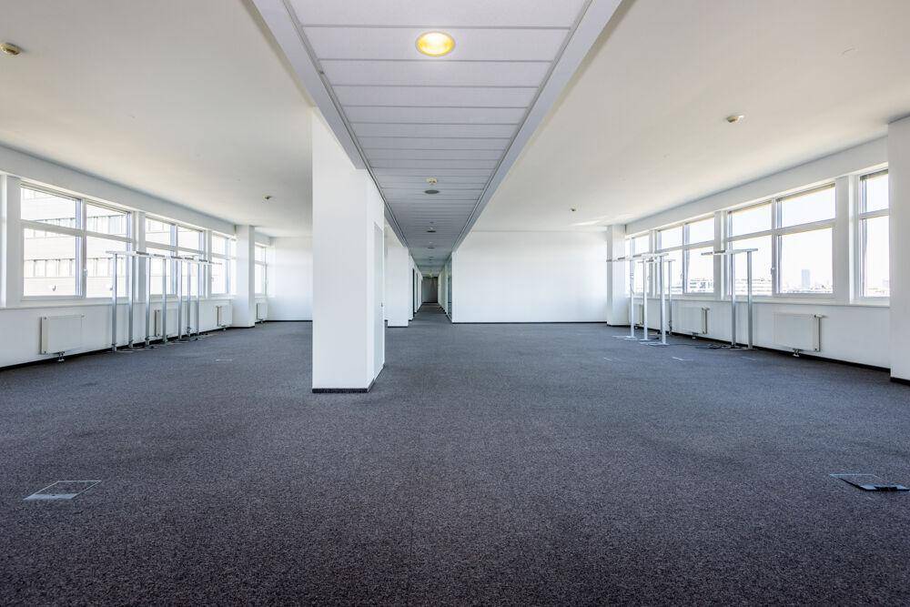 Großer, leerer Großraumbüro-Bereich mit vielen Fenstern, Teppichboden und viel Tageslicht.