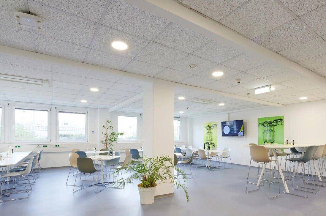 Geräumige und helle Kantine mit verschiedenen Sitzbereichen und dekorativen Pflanzen, ideal für Pausen.
