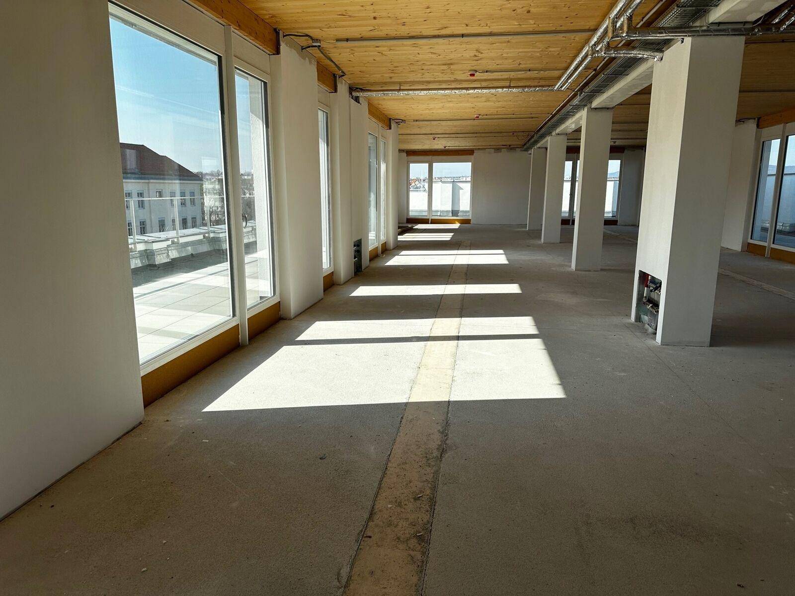Heller Rohbau mit Holzbalkendecke und Betonboden, durchflutet von Sonnenlicht durch große Fensterfronten.