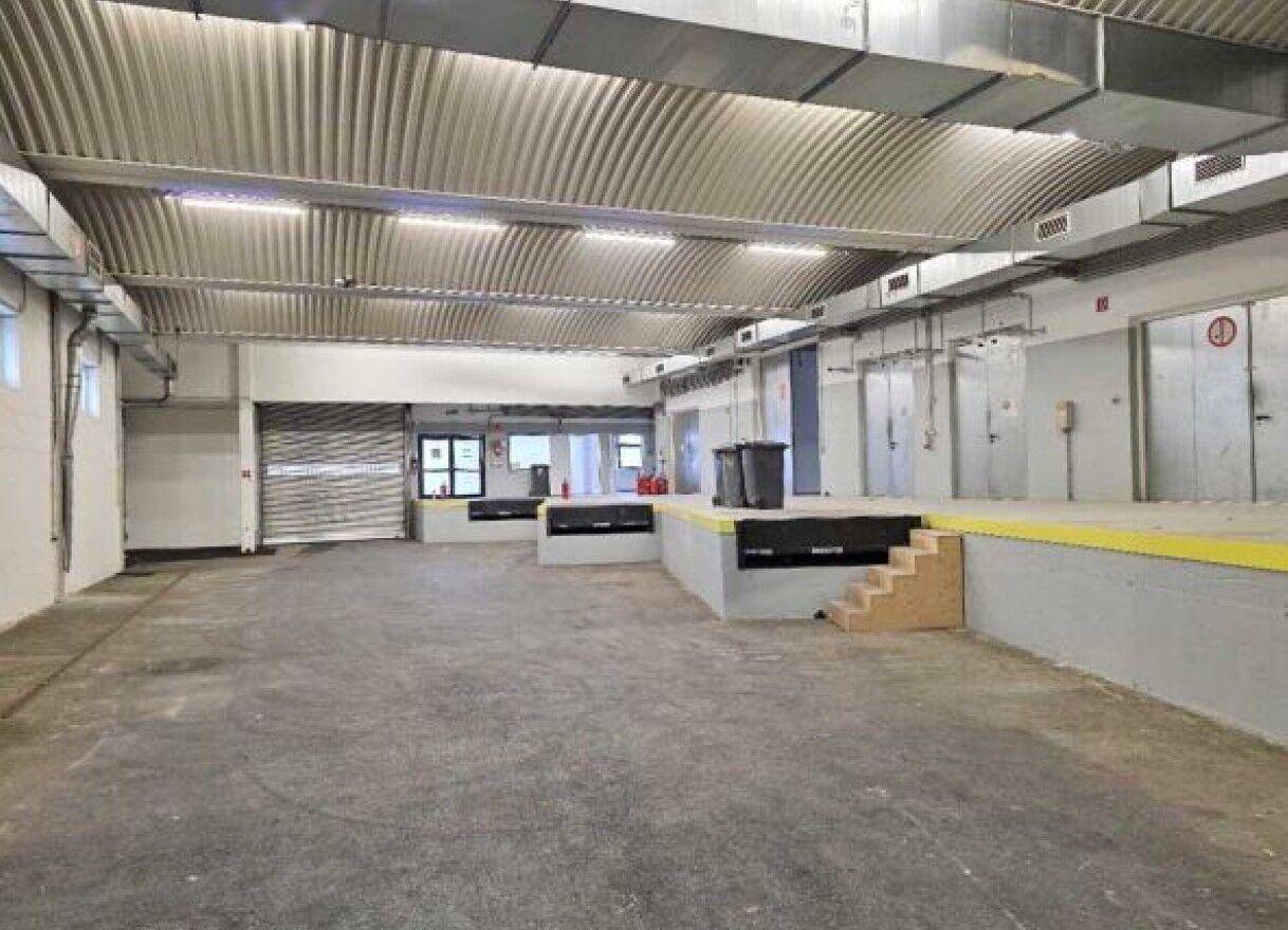 Große Lagerhalle mit Laderampen, Rolltoren und gewellter Metalldecke, bereit zur Nutzung.
