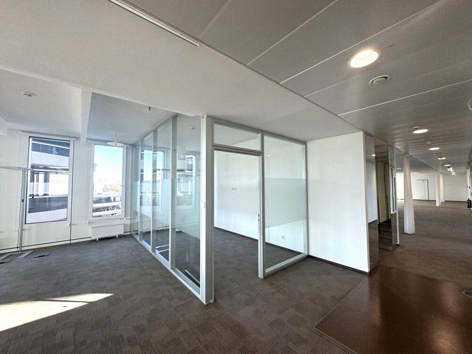 Offener Bürobereich mit Teppichboden und Glaswänden, die separate, lichtdurchflutete Arbeitsbereiche schaffen.