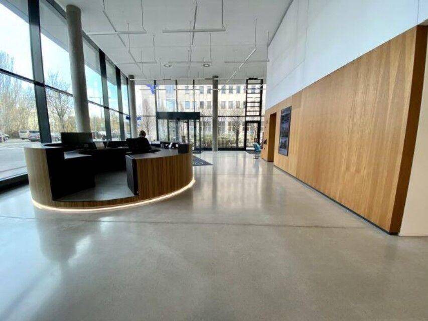 Empfangsbereich in einer modernen Lobby mit geschwungenem Tresen und viel Tageslicht.