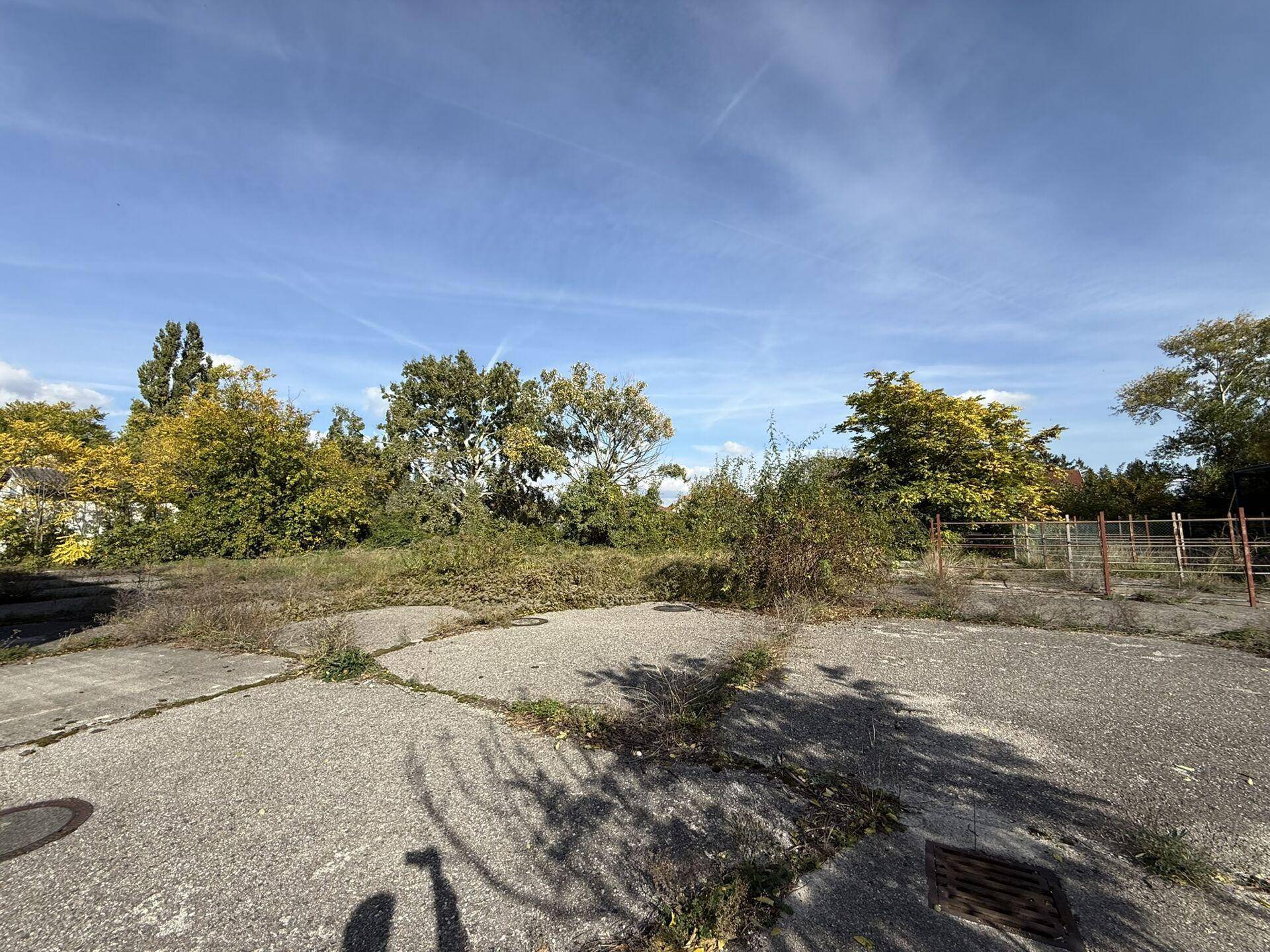 Verwilderte Außenfläche mit Rissen im Asphalt, umgeben von Bäumen und Grünflächen.
