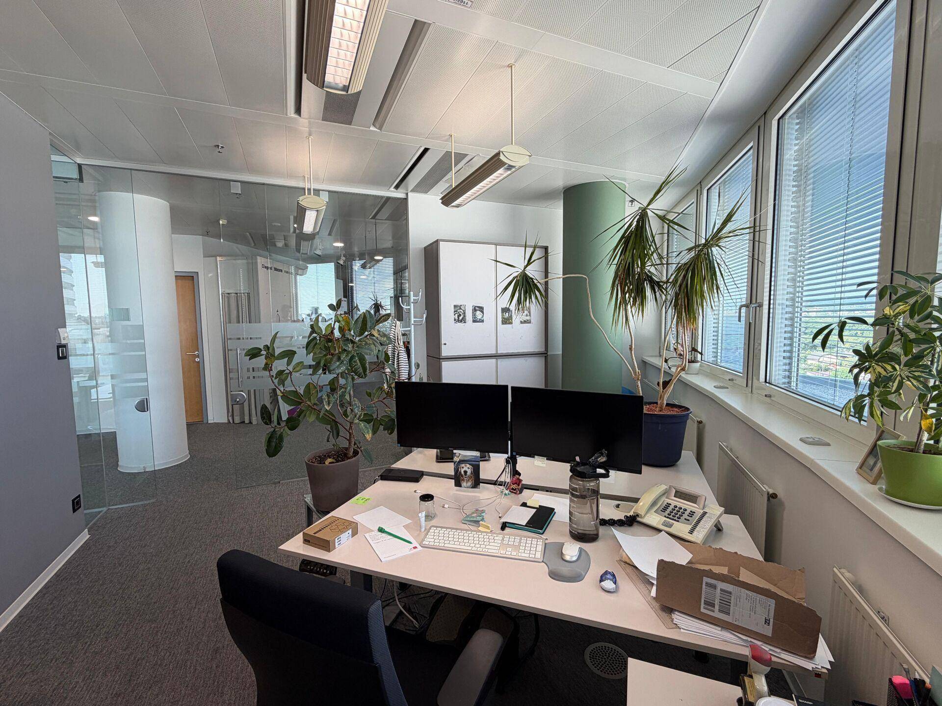 Geräumiges Büro mit Arbeitsplatz, vielen Pflanzen und großen Fenstern, die viel Tageslicht hereinlassen.
