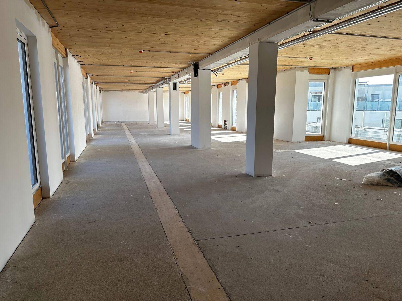 Langer, offener Rohbau mit Holzbalkendecke und Betonboden, durchflutet von natürlichem Licht.