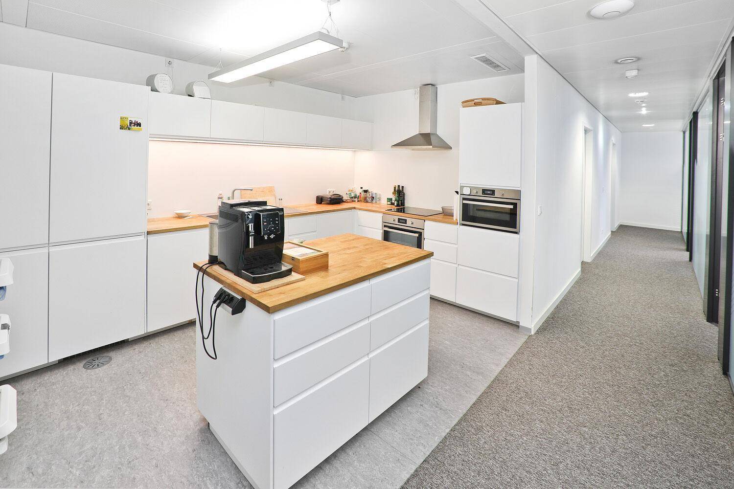 Moderne weiße Küche mit Holztheken, integrierten Geräten und angrenzendem Flur.