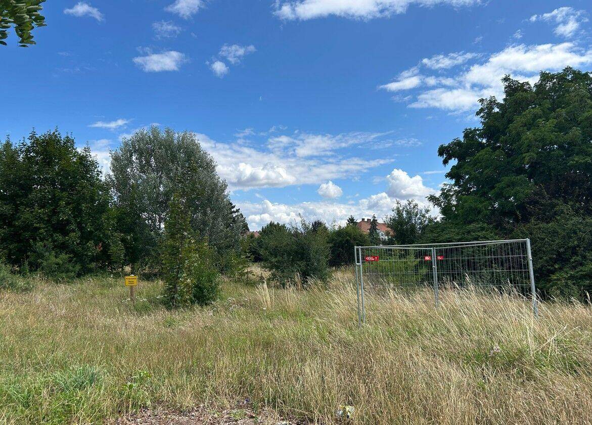 Offenes Feld mit hohem Gras und Bäumen, umzäunt von einem Bauzaun unter einem weiten blauen Himmel.