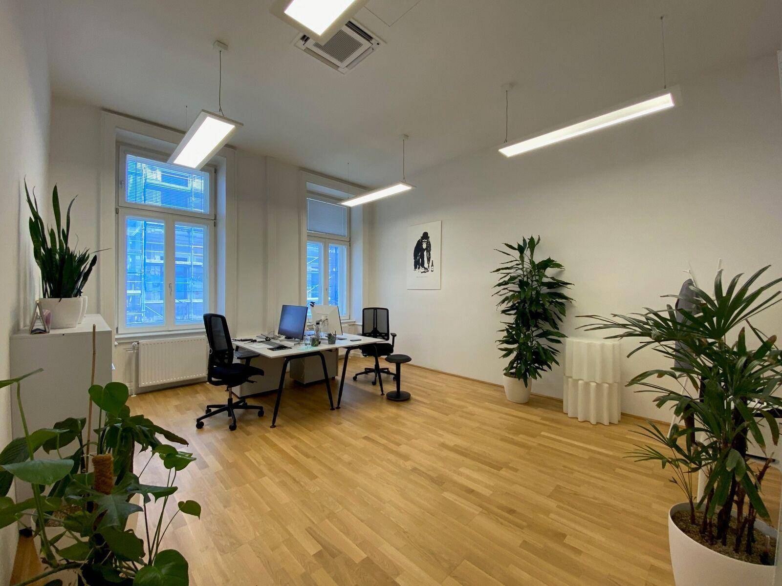 Heller Büroraum mit Schreibtischen, Bürostühlen, vielen Pflanzen und Holzparkettboden.