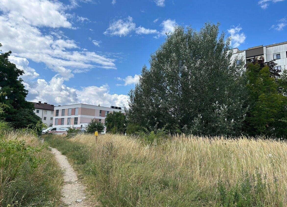 Feldweg führt durch hohes Gras und Bäume, mit modernen Wohngebäuden im Hintergrund unter blauem Himmel.