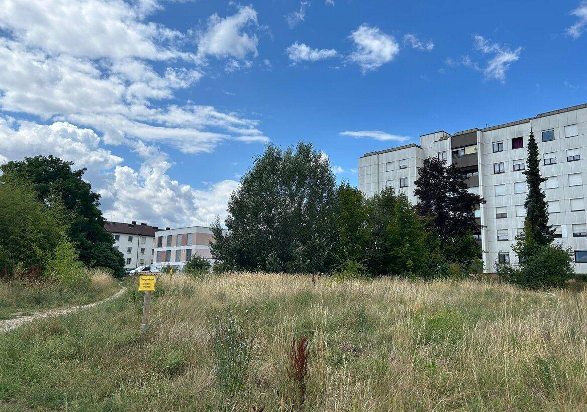 Weitläufiges, bewachsenes Feld mit Bäumen und einer Mischung aus älteren und neueren Wohngebäuden im Hintergrund.