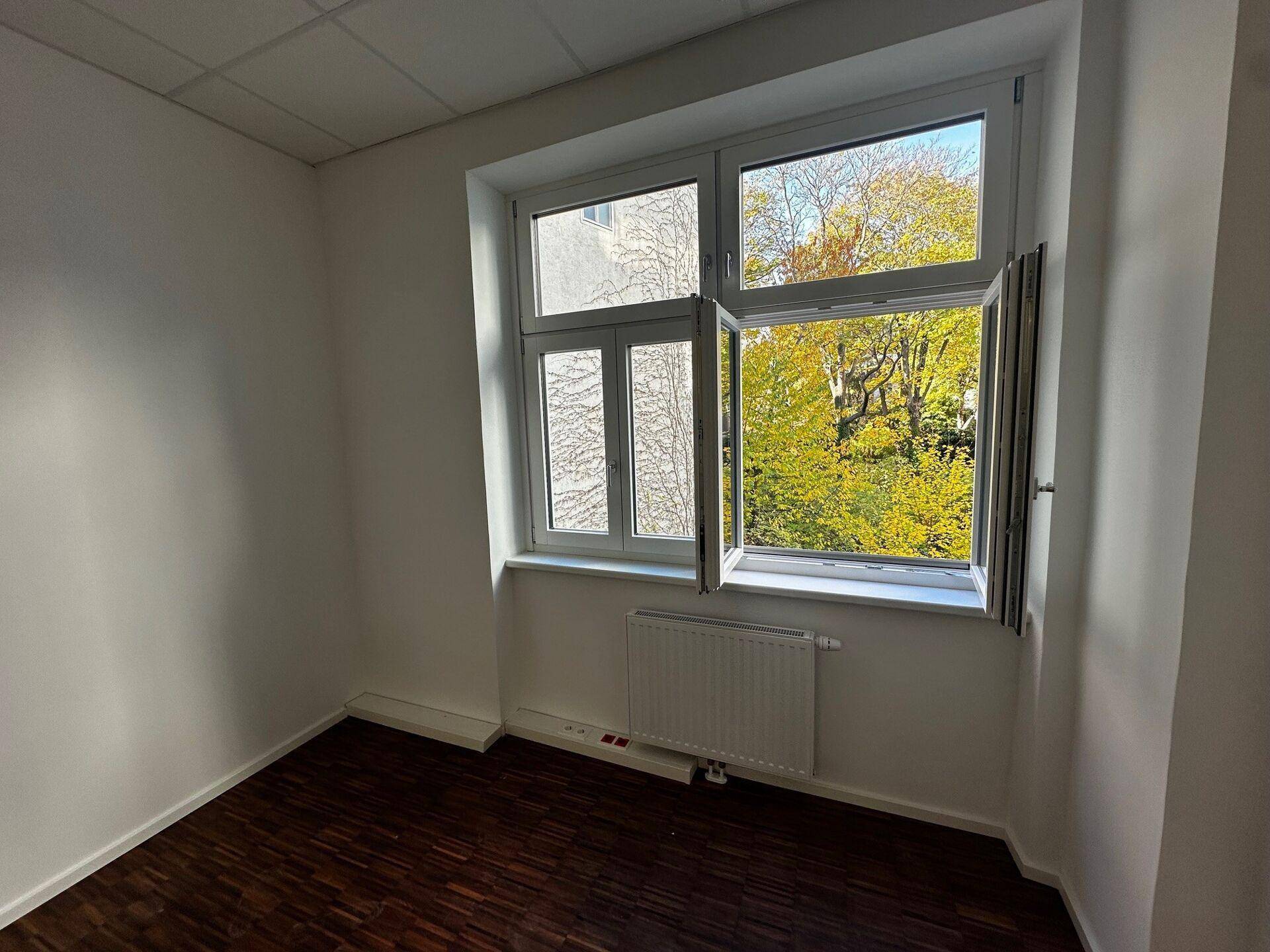 Helles Büro mit geöffnetem Fenster, das einen Blick auf grüne Bäume und Herbstlaub bietet.
