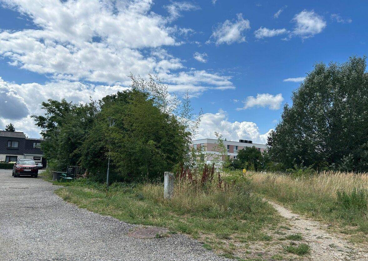 Schotterfläche und Feldweg führen zu einem bewachsenen Bereich mit Bäumen und modernen Gebäuden im Hintergrund.