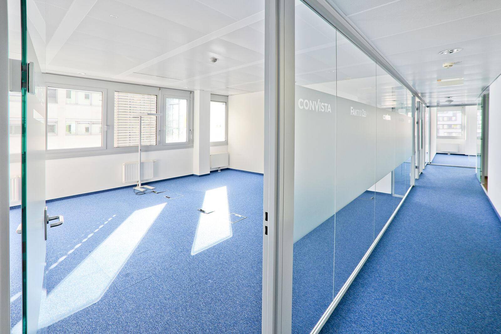 Leeres Büro mit blauem Teppichboden und großen Fenstern, abgetrennt durch eine moderne Glaswand.