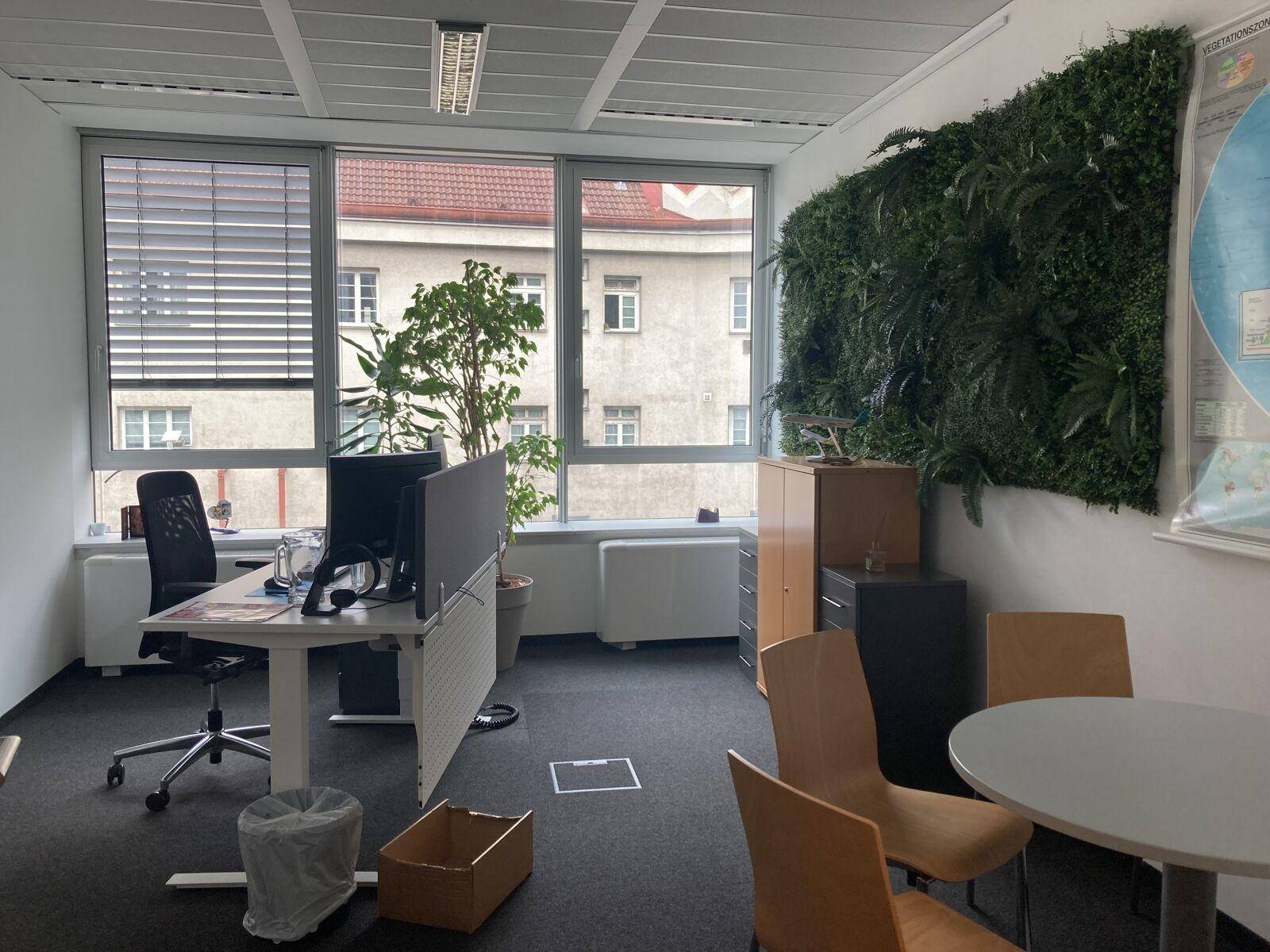 Helles Büro mit Schreibtisch, Bürostuhl, grüner Pflanzenwand und Blick auf umliegende Gebäude.