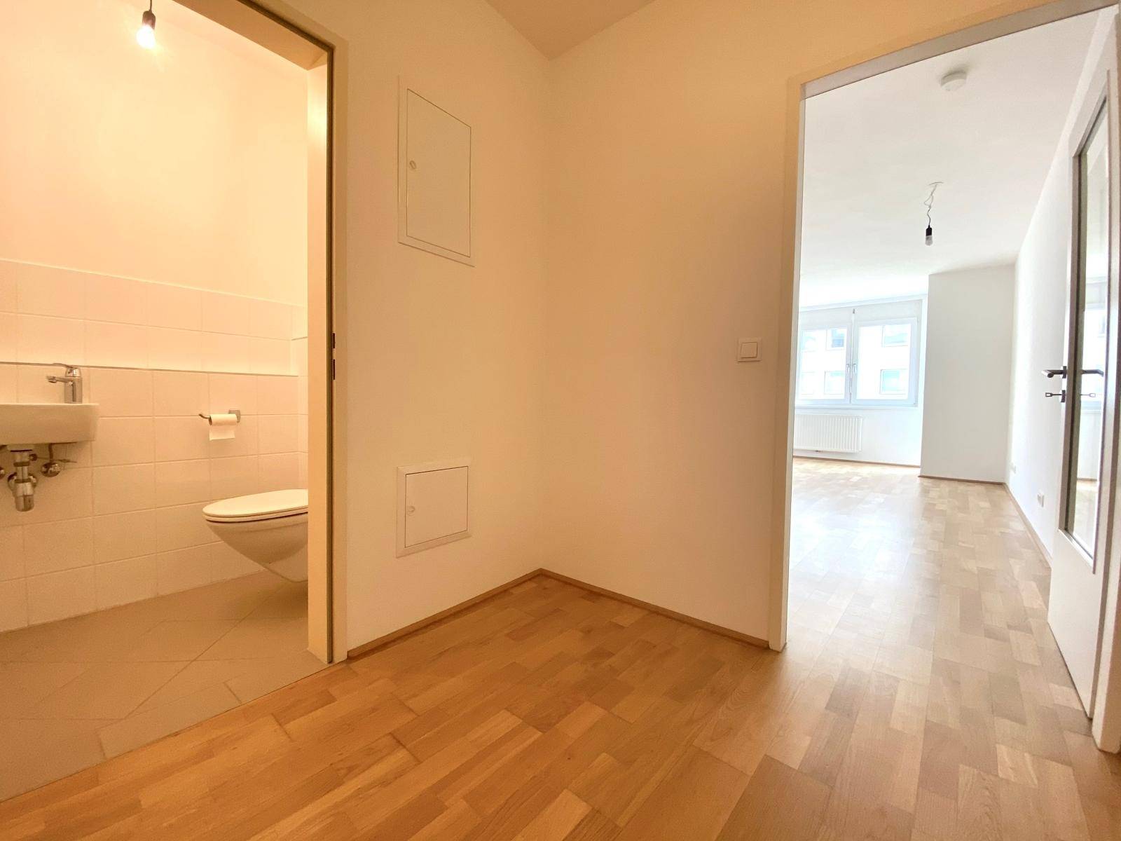 Eingangsbereich mit Wohnzimmer und WC