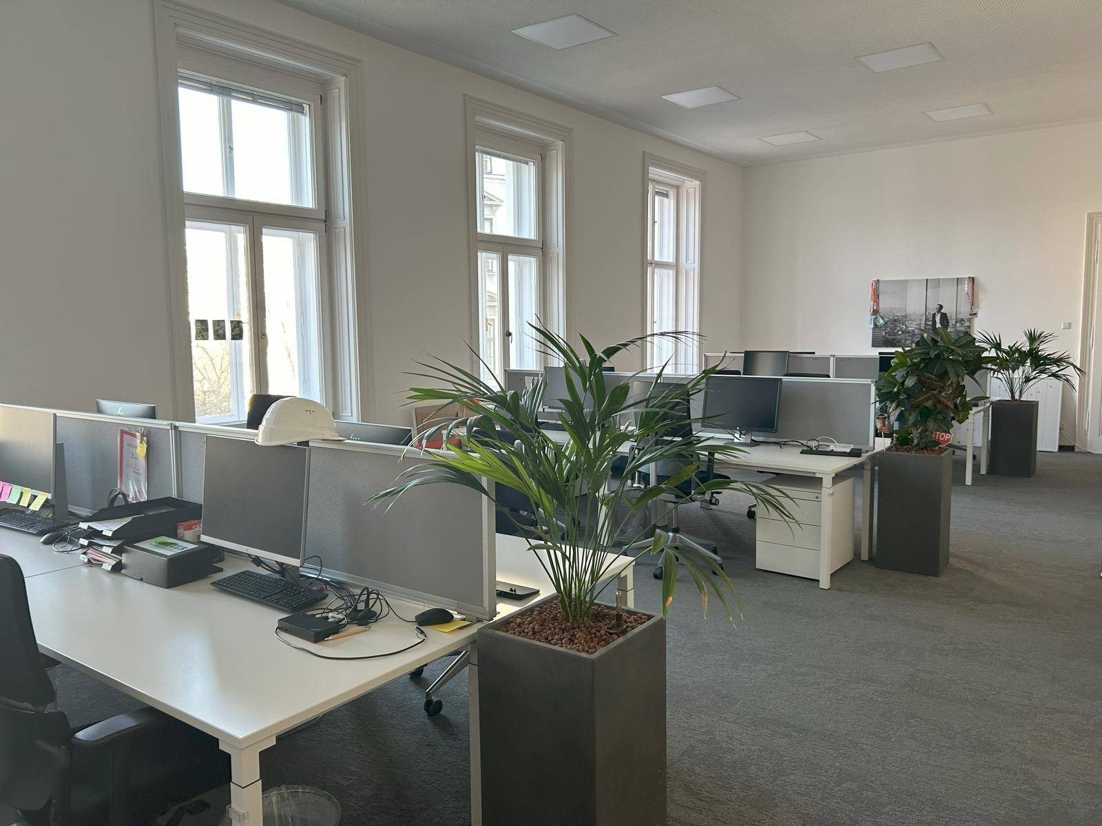 1010 Universitätsring 8, 1.OG_Büro