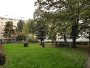 Grüne Gartenanlage mit Bäumen und Rasenflächen, umgeben von Wohngebäuden.