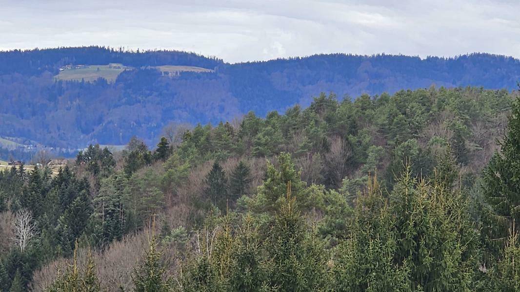 Weitblick ins Grüne