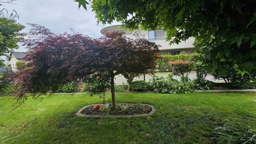 parkähnlicher Garten