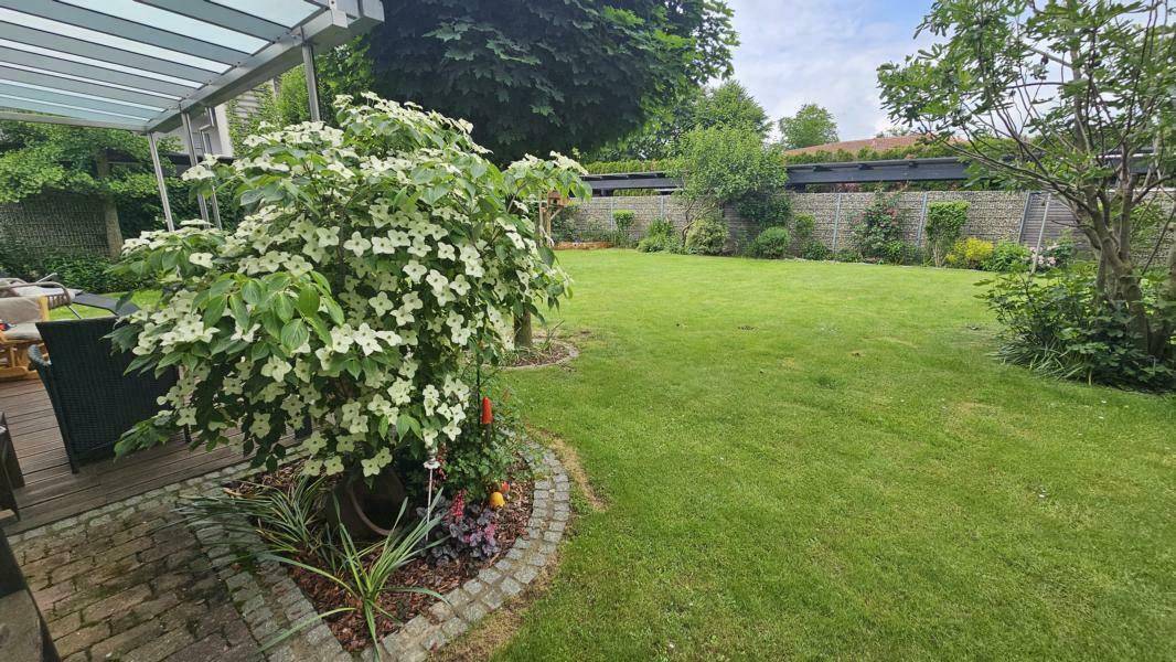 Blick in den eigenen Garten