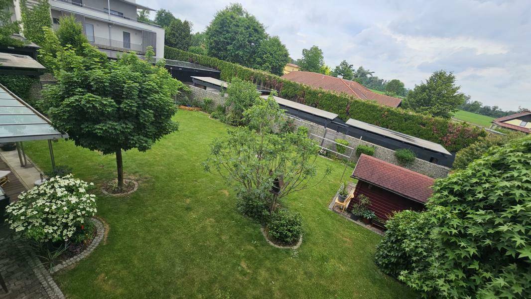 Blick in den eigenen Garten