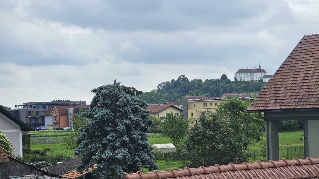 Blick zum Schloß