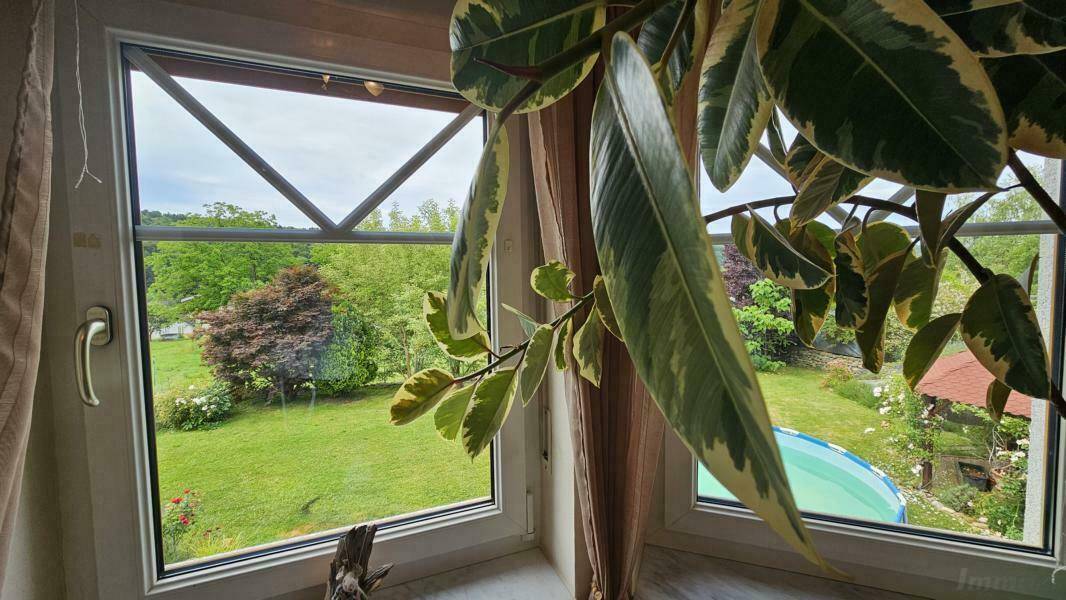 Blick aus dem Fenster auf den grünen Garten mit Rasenfläche und Aufstellpool.