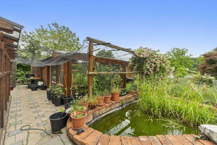 Idyllischer Gartenbereich mit einem Teich, umgeben von Pflanzen und einem kleinen Gewächshaus.
