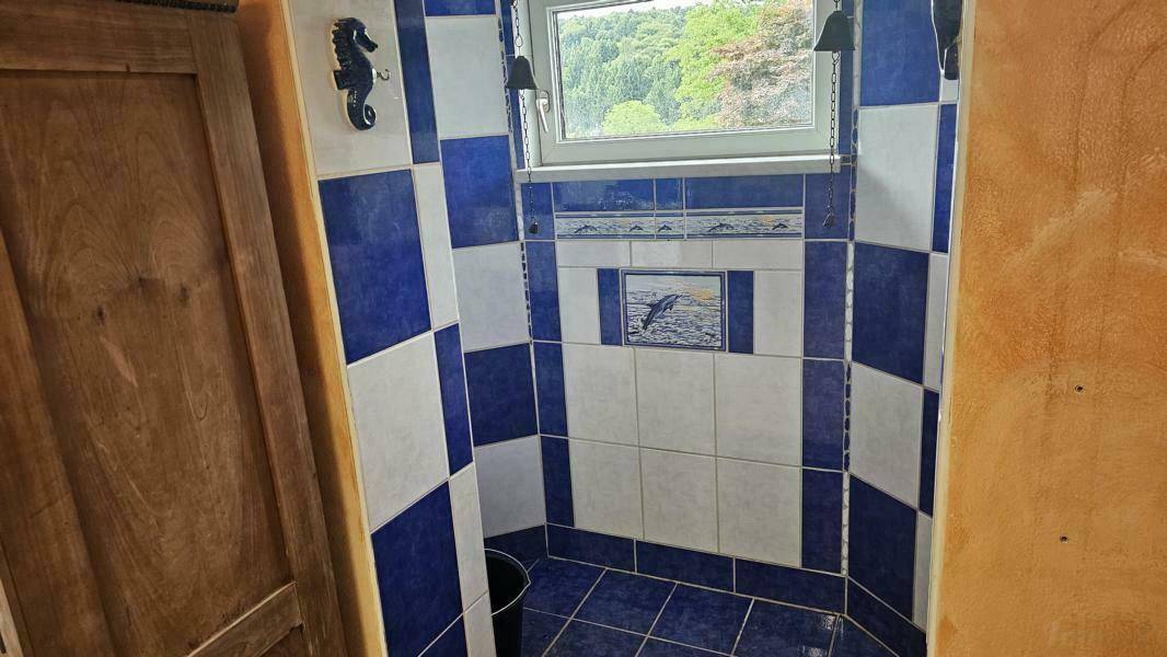 Einfache Duschkabine im Untergeschoss mit blau-weißen Fliesen und Fenster.