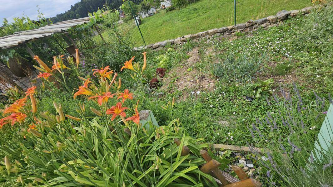 Blühender Garten mit bunten Blumenbeeten, grüner Wiese und Blick auf die umliegende Landschaft.