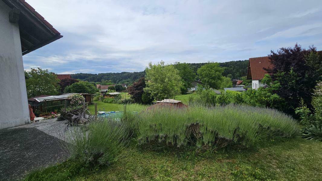 Gepflegter Gartenbereich mit Lavendelbüschen und einer kleinen gepflasterten Fläche neben dem Haus.