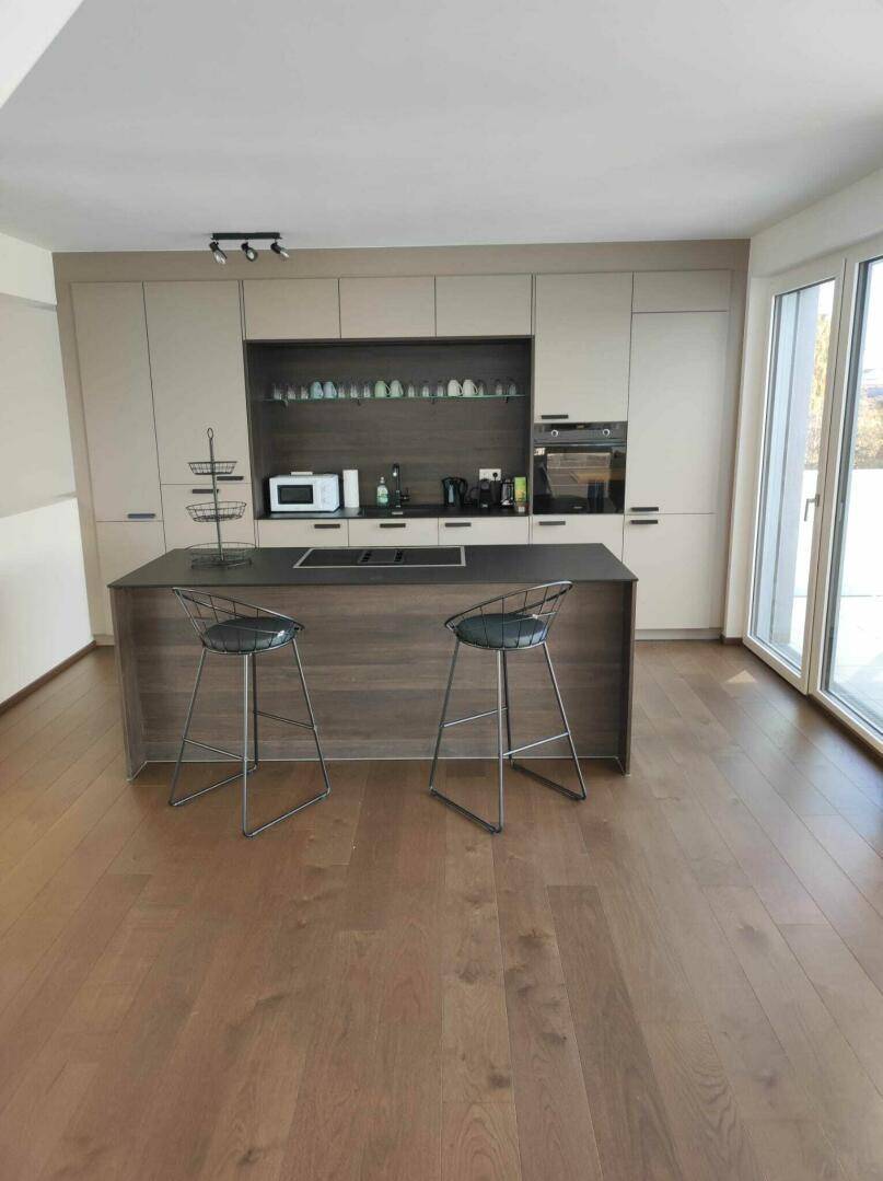 Moderne Einbauküche mit Kücheninsel, integrierten Geräten und Zugang zur Terrasse.