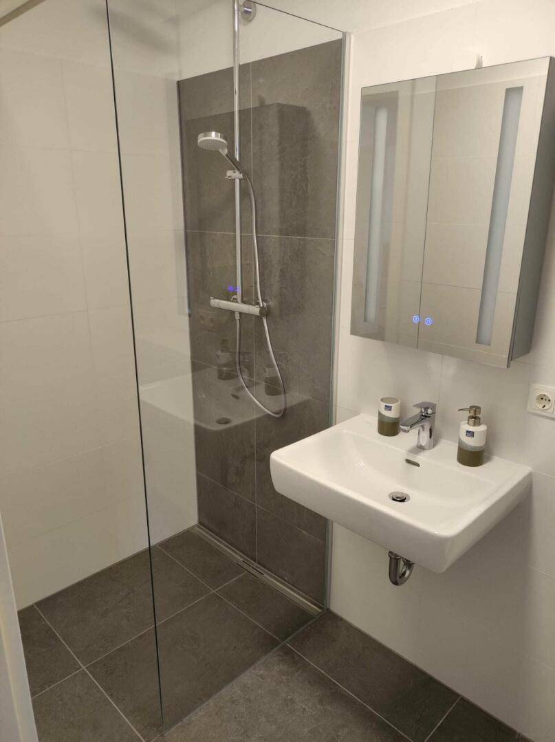 Modernes Badezimmer mit ebenerdiger Dusche, Waschbecken und Spiegelschrank.