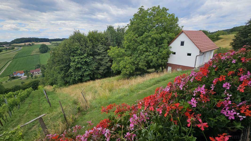 Malerischer Blick auf ein Haus am Hang, umgeben von Weinbergen und bunten Blumen im Vordergrund.