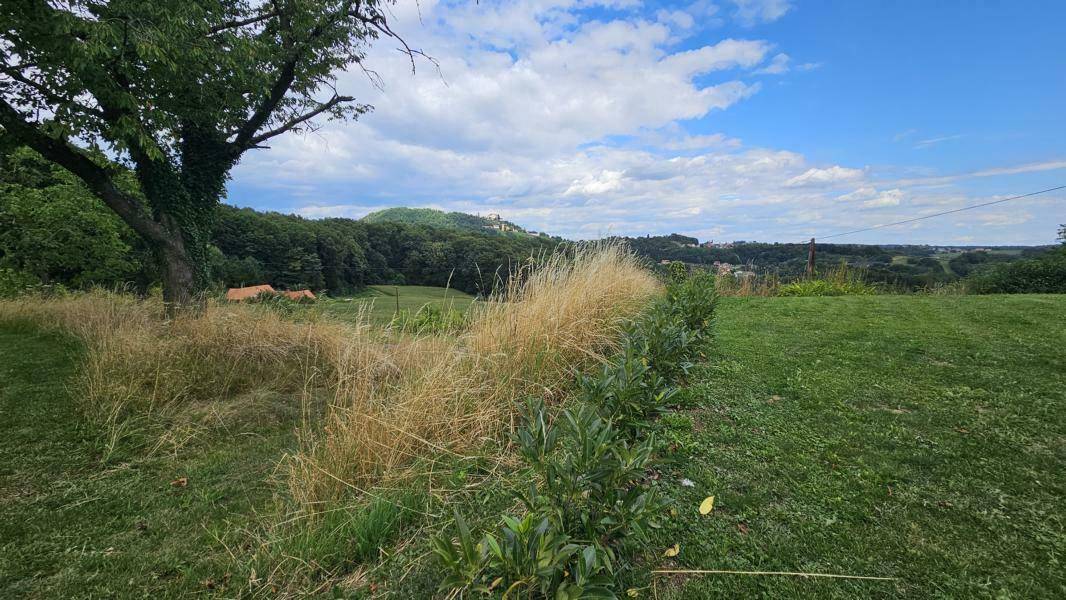 Weitläufiger Gartenbereich mit altem Baum und Blick auf die umliegende grüne Hügellandschaft.