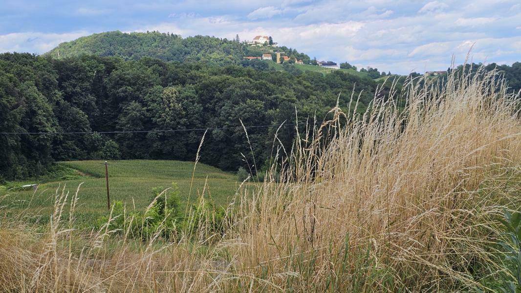 Malerischer Blick über trockenes Gras auf eine bewaldete Hügellandschaft mit einem Gebäude in der Ferne.