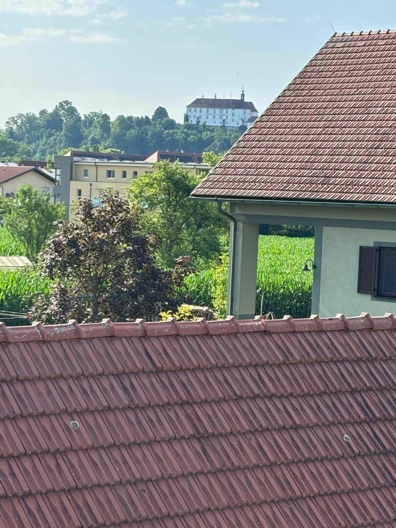 Blick zum Schloss