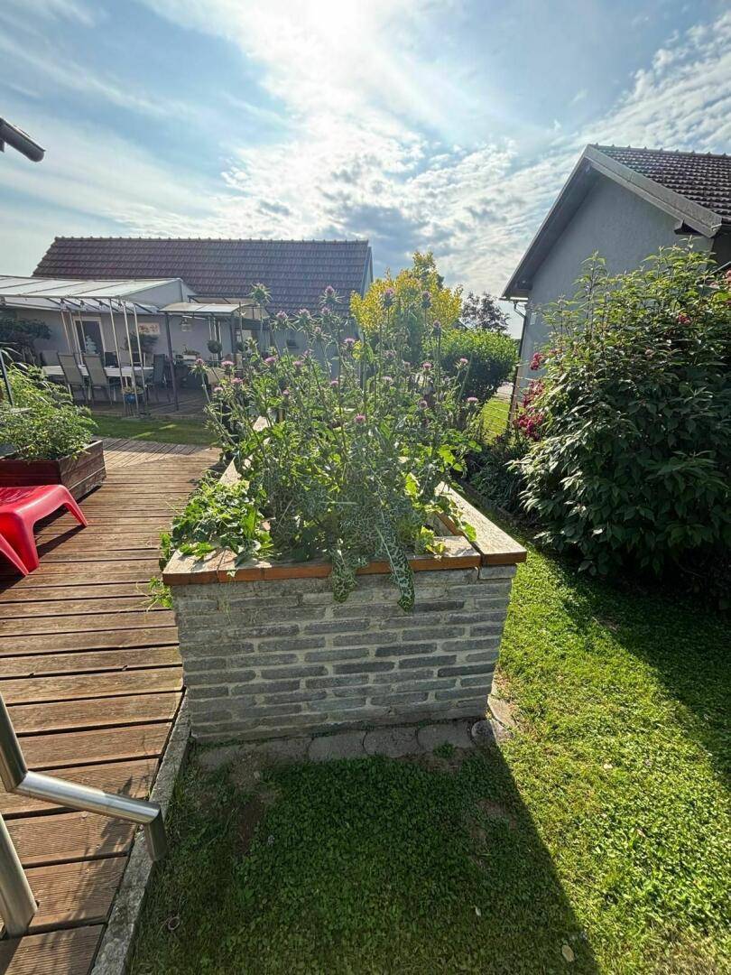 Hochbeet für frisches Gemüse
