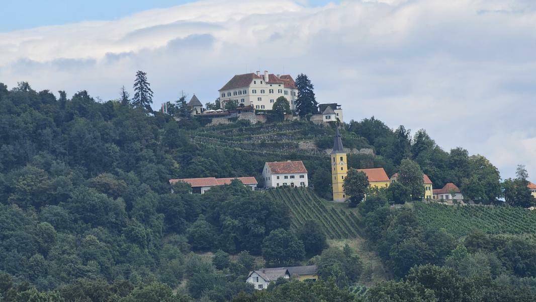 Blick zum Schloss Kapfenstein