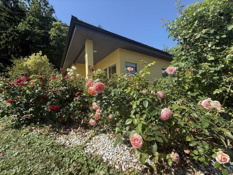 Ansicht Haus