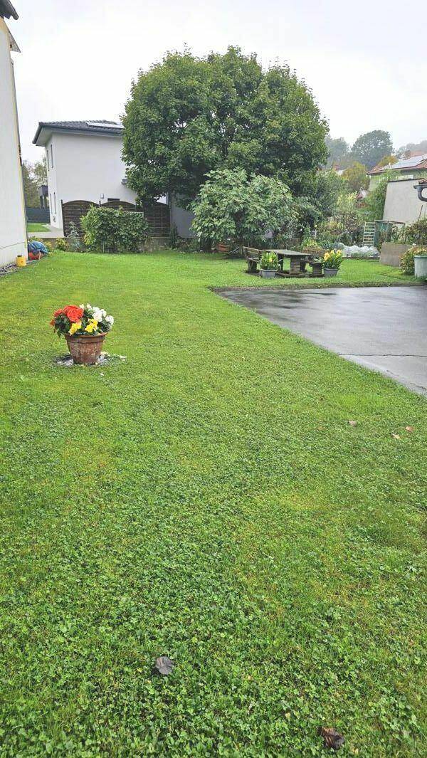 allgemeine Grünfläche ums Haus