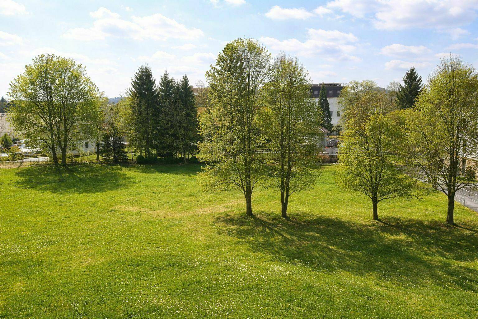 Weitläufige Grünfläche mit Bäumen und Wiesen, ideal für Erholung im Freien.