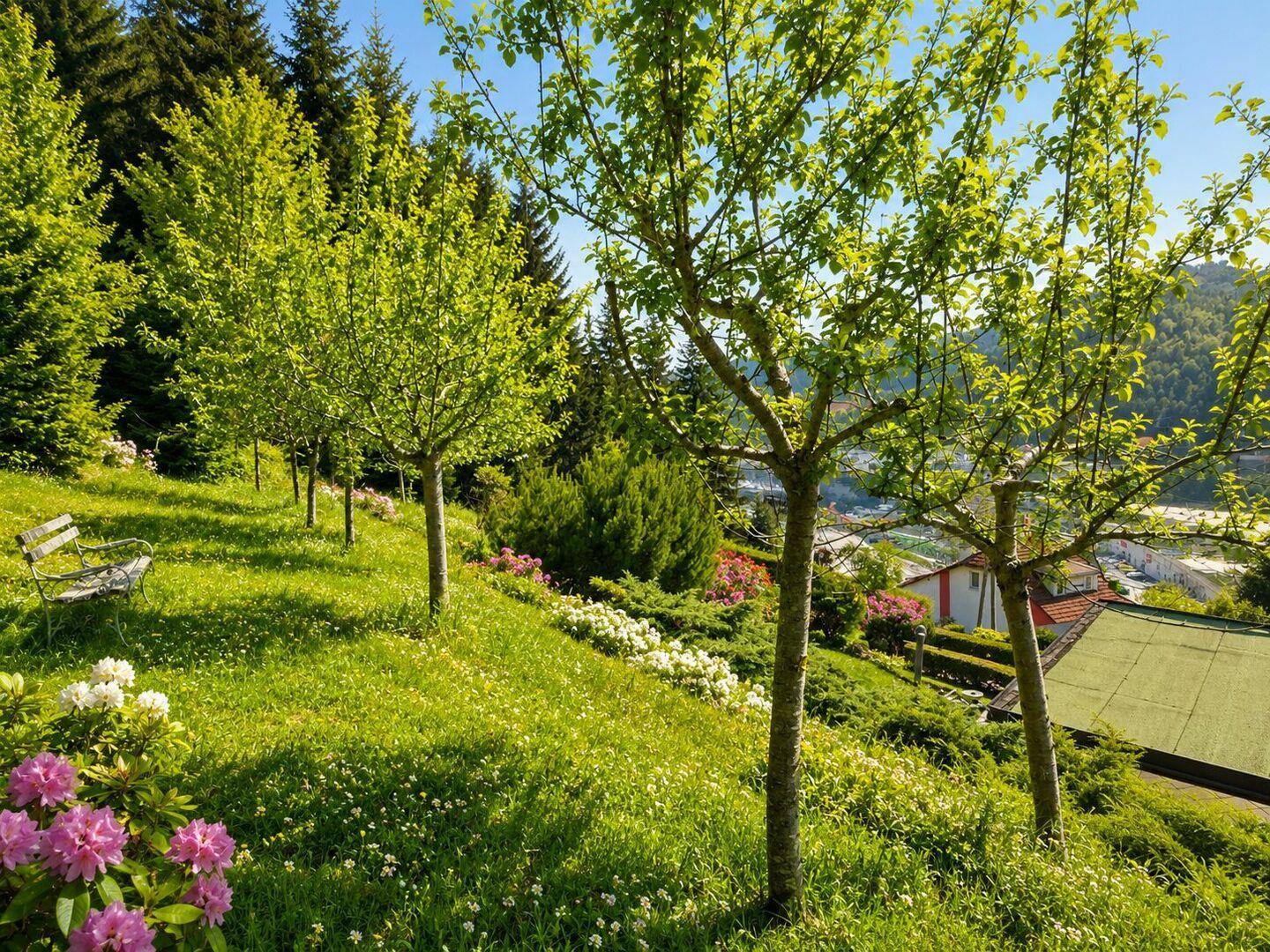 Sonniger Hanggarten mit jungen Obstbäumen, blühenden Rhododendren und weitem Blick ins Tal.