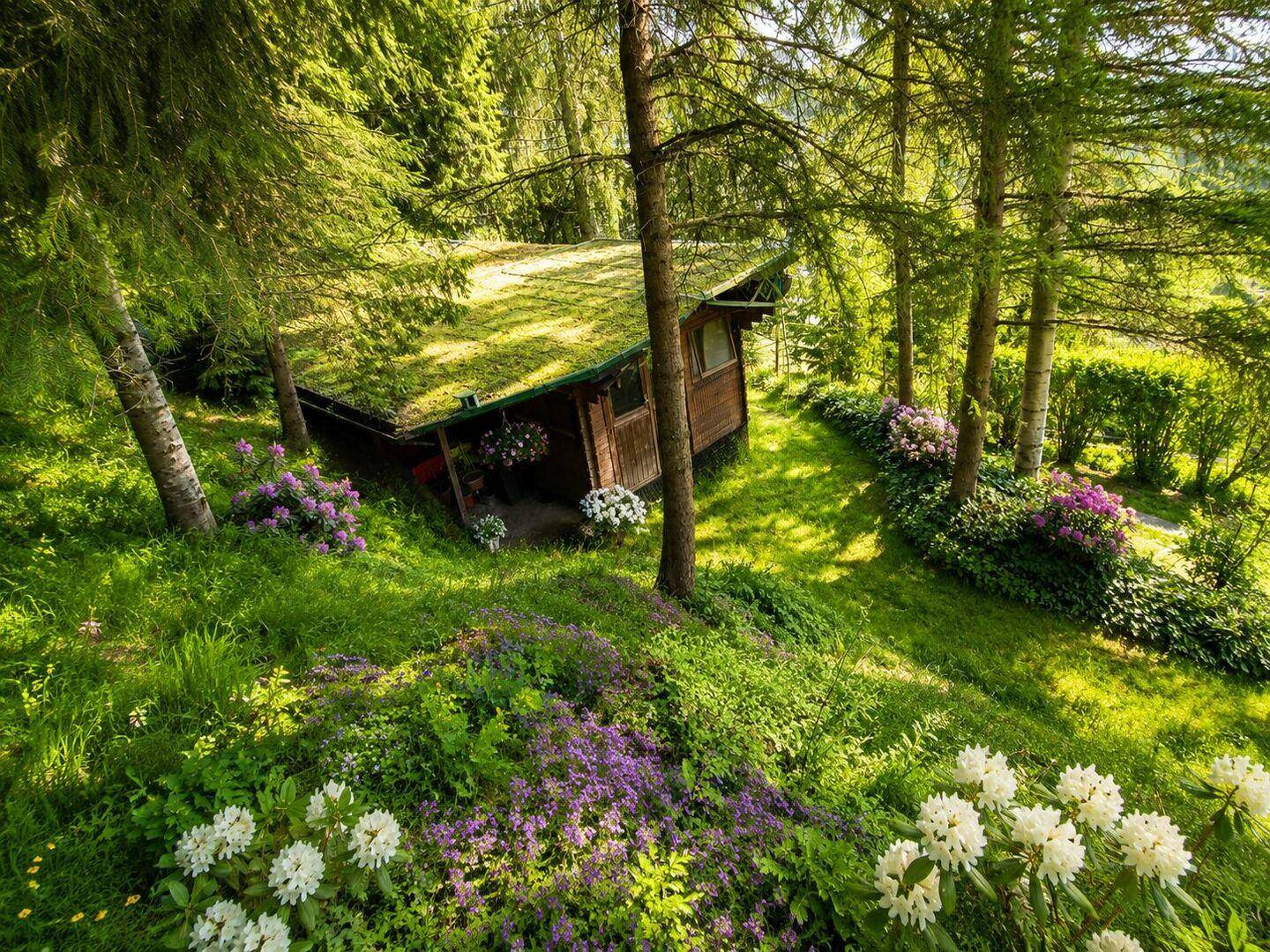 Malerisches Gartenhaus mit begrüntem Dach, umgeben von üppiger Vegetation und blühenden Sträuchern.