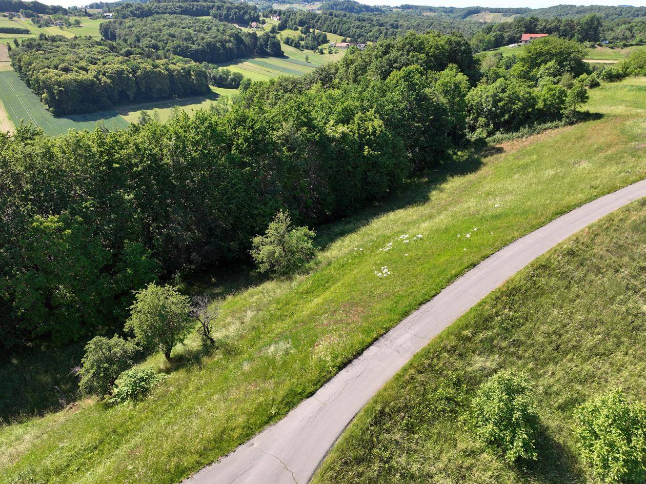 Luftaufnahme einer Landstraße, die sich durch eine grüne, hügelige Landschaft schlängelt.