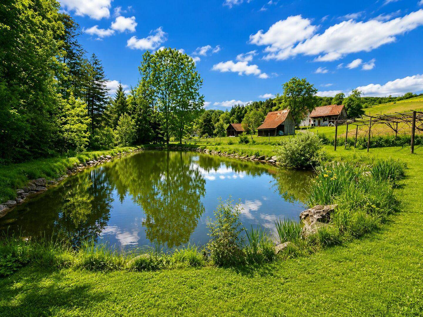 Naturparadies mit eigenen Fischteichen, Bachzugang und bewilligtem Ausbau - 5.548m² Freiheit – pohled 6