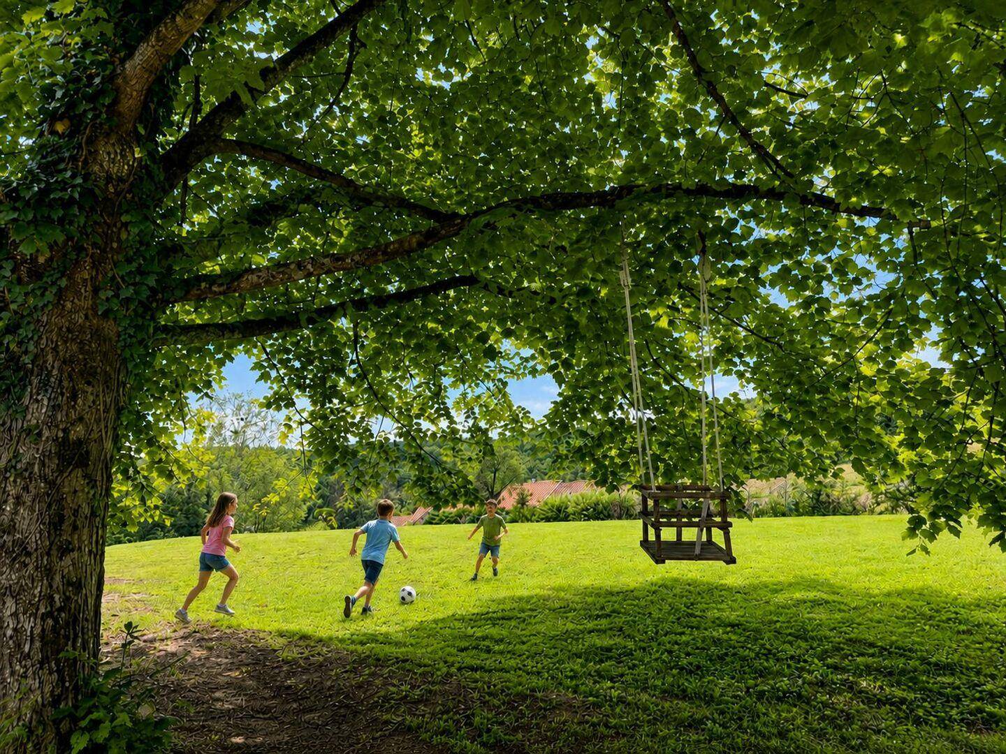 Kinder spielen auf einer sonnigen Wiese unter einem Baum mit Schaukel.