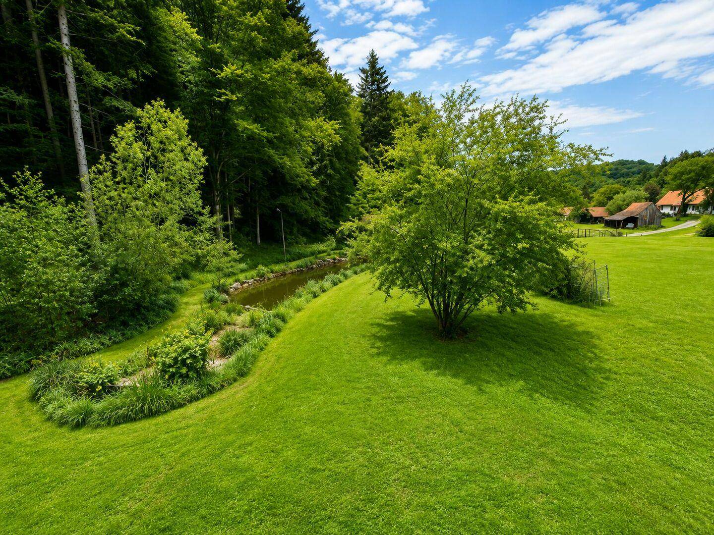 Weitläufige grüne Wiese mit einem kleinen Bachlauf und Bäumen im Hintergrund.