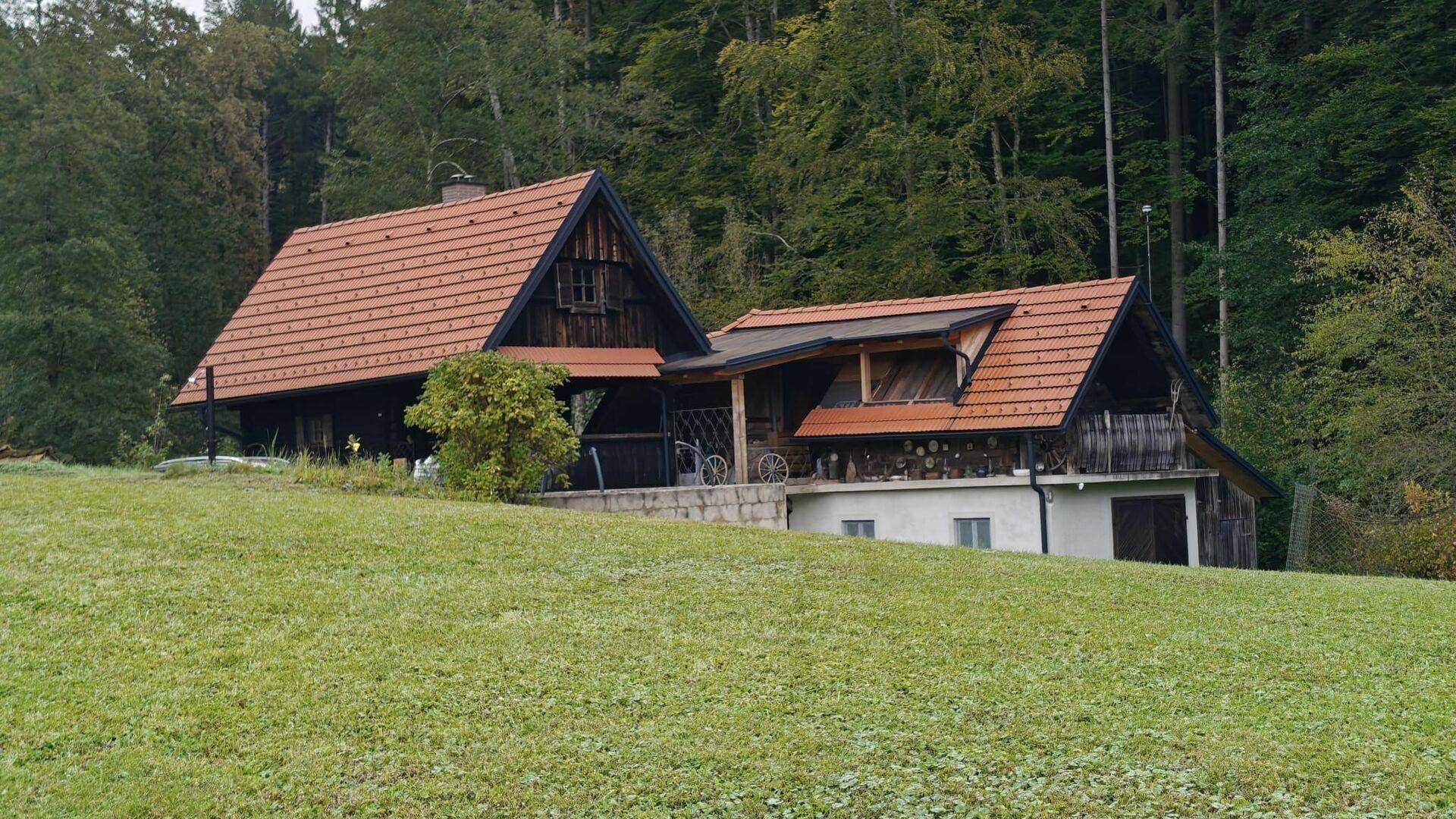 Naturparadies mit eigenen Fischteichen, Bachzugang und bewilligtem Ausbau - 5.548m² Freiheit – pohled 4