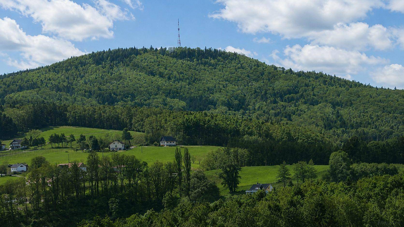 Bewaldeter Hügel mit vereinzelten Häusern und einem Sendemast auf dem Gipfel.